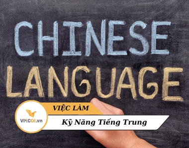 Cơ hội Vàng trong Lĩnh vực Việc làm kỹ năng Tiếng Trung tại Việt Nam